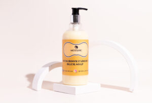 mushroom fadeout Blemish soap for All skin Type