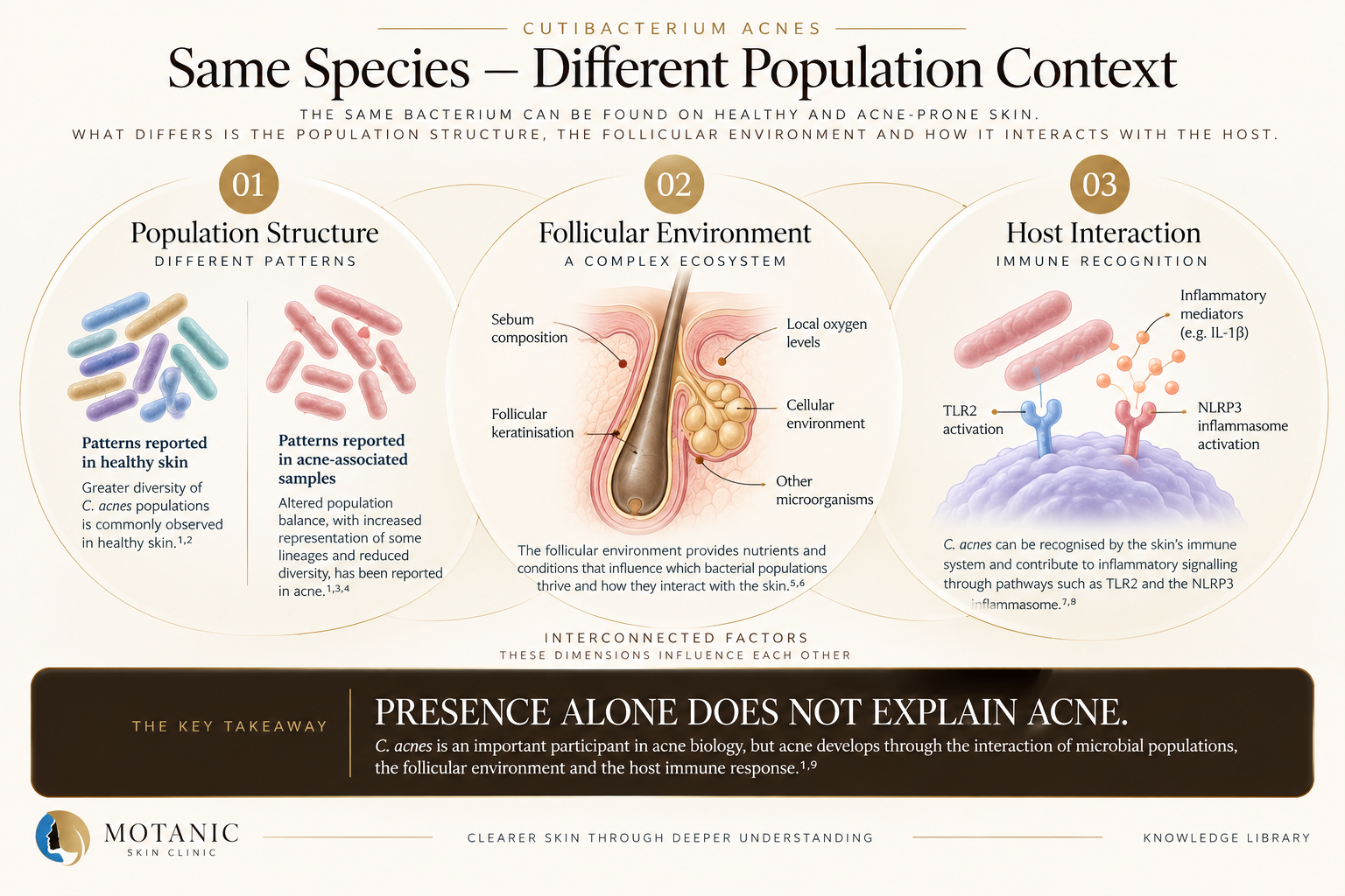 Cutibacterium acnes diagram showing population structure, follicular environment and host immune interaction.